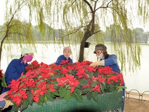 Hanoi to hold street flower festival to welcome the New Year